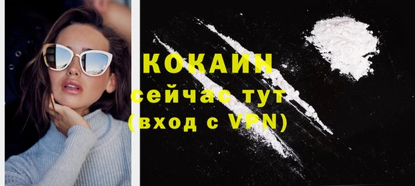 спайс Алексин