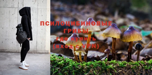 спайс Алексин